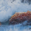 Dynamic Vitality Artwork